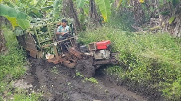 xe công nông 2 câu chở chuối đầy xe đường lầy ngấp máy cực khỏe và cái kết
