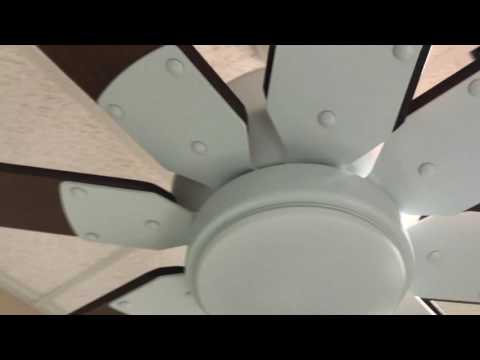 Fanimation Levon Custom Dc Ceiling Fan