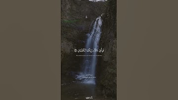 فيهما عينان نضاختان | سورة الرحمن | المنشاوي #quran