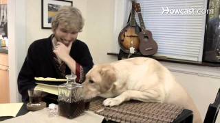 How to Make a Talking Dog Video screenshot 5