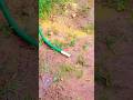 👉 “Thatha Hard Work 💪”#villagevlog #garden #nature #teluguvlog #plants #shorts #village #trending
