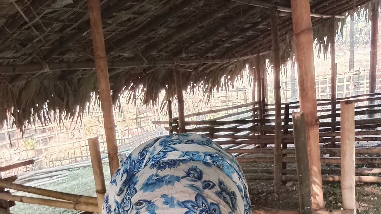 #06||naya  Gahori 🐖 ka ghar ||#minivlog ||linko vlog's 🌸