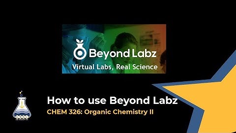 How to use Beyond Labz