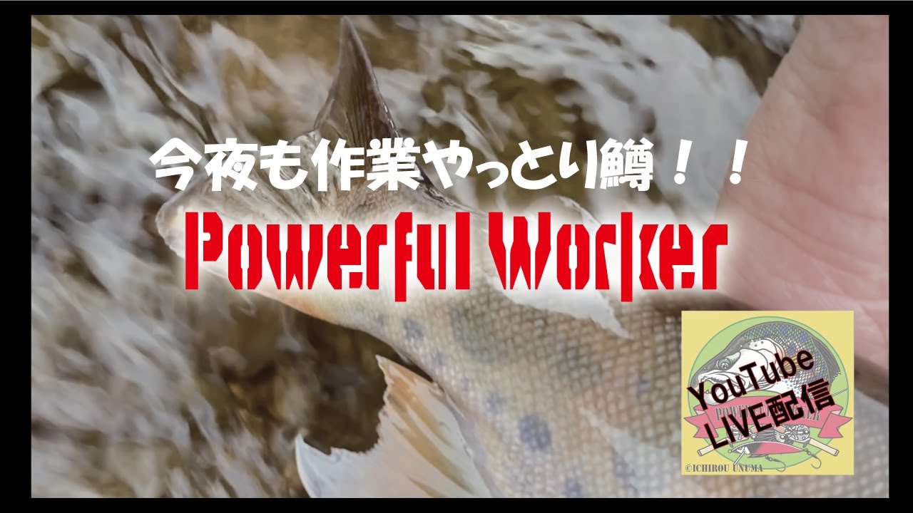 Glasso 3ft 解説 グラスソリッド渓流ロッド [今夜も作業やっとり鱒