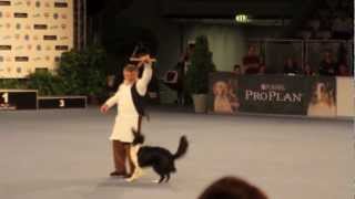 Dogdancing Freestyle World Championship 2012 Buonocore Roger with Cookies du Domaine de Jolea by ElliotDMDS 6,850 views 11 years ago 2 minutes, 59 seconds