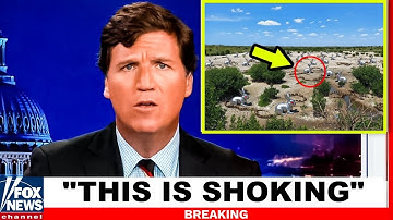 Florida Released HUNDREDS of Robotic Rabbits To Kill Pythons — What Happened Next SHOCKED Everyone!