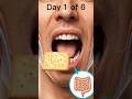 What happens the SECOND you take a bite? (Day 1 of 6)