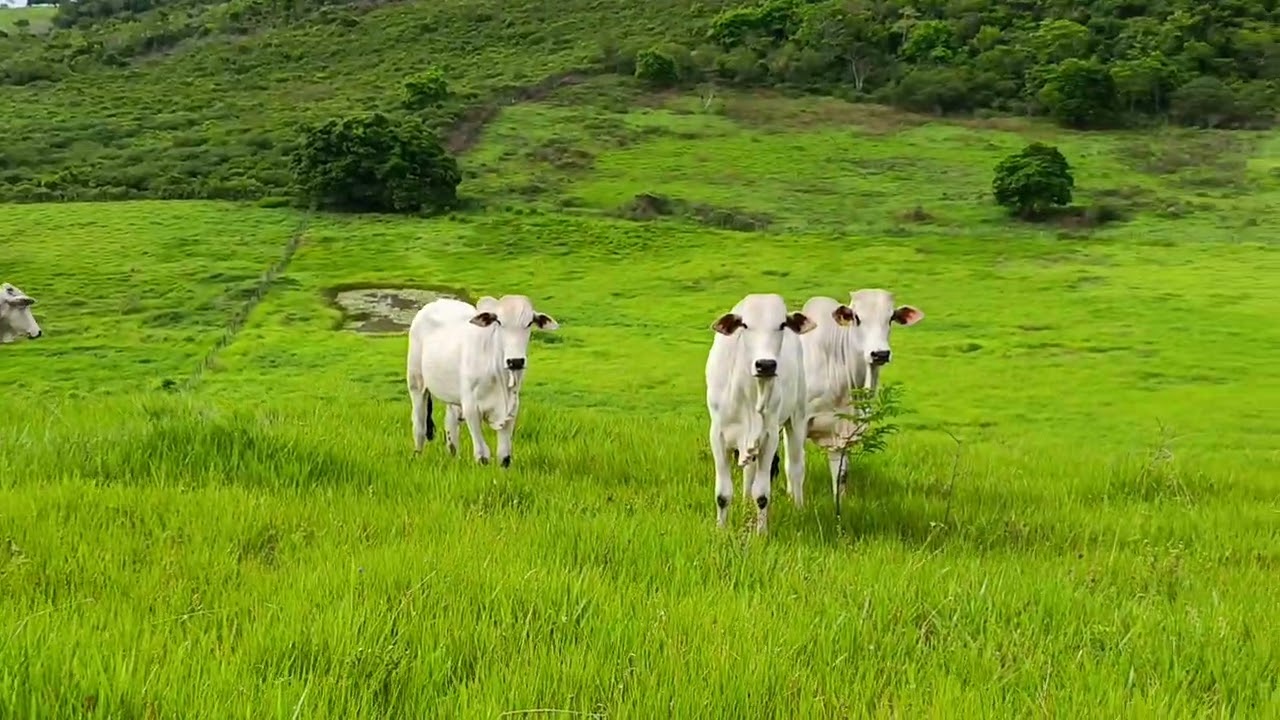 2 de janeiro de 2026