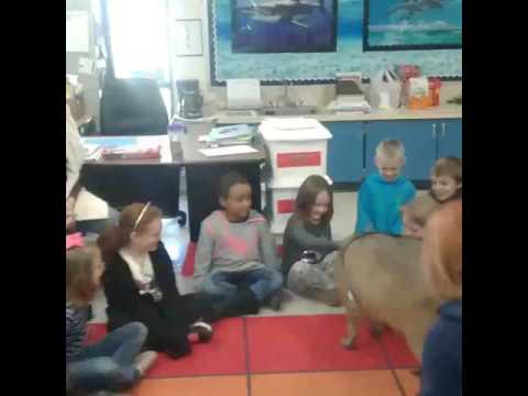 WORLD'S MOST FAMOUS CAPYBARA CHICO visits Ashdown elementary school kids