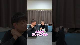 ヒント：日常生活で聞いたことがあるあの音