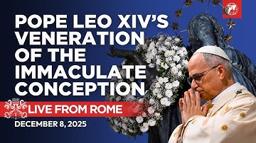 LIVE | Pope Leo XIV