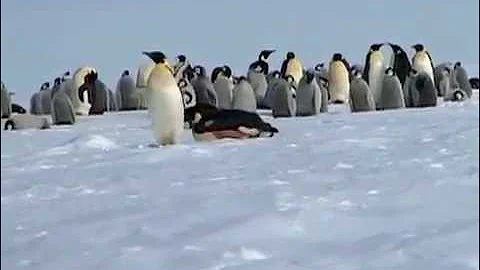 Time Zones 2 | Earth's Coldest Place