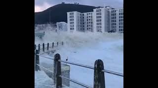 Strong winds blowing sea foam across parts of Cape Town, South Africa ๐ฒ