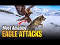 56 Most Amazing Eagle Attacks Caught On Camera