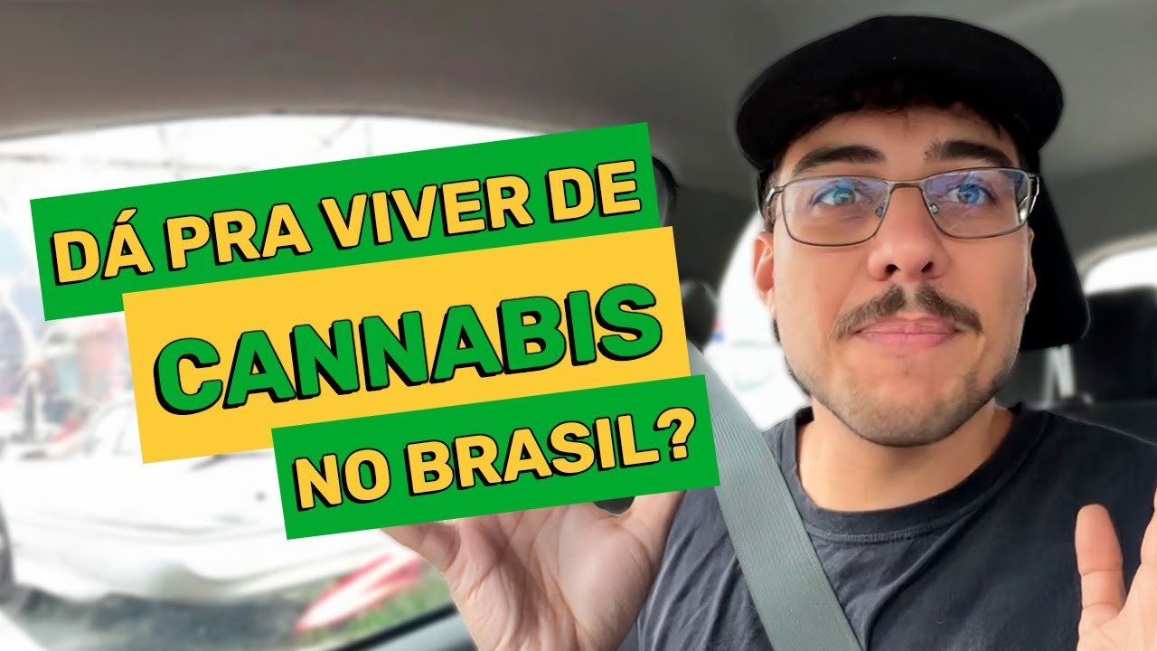 Como Começar a Empreender no Mercado Canábico (sem cair na ilegalidade)