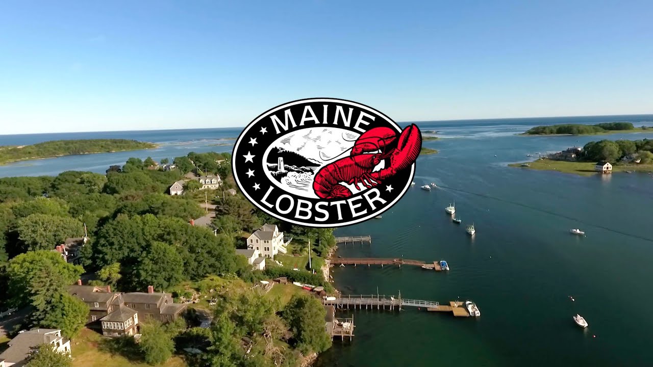 A Look at Maine Lobster in 2019 | Lobster from Maine - YouTube