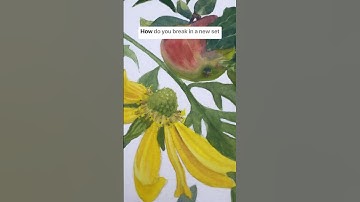 Trying a new set of Holbein Gouache… How do you break in new paints?