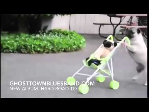 My Doggy - Official Ghost Town Blues Band promo