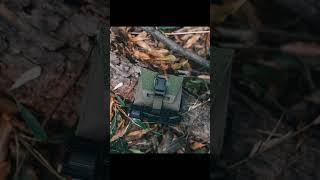 Looking For A Companion That Stands The Test Of Time?