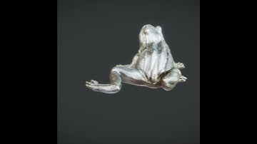 Golden Frog Figurine 3D Scan #UnrealEngine #Unity #VR #3DArt #GameDev #VirtualWorlds #Fab