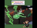 Activities done | Oxford English School