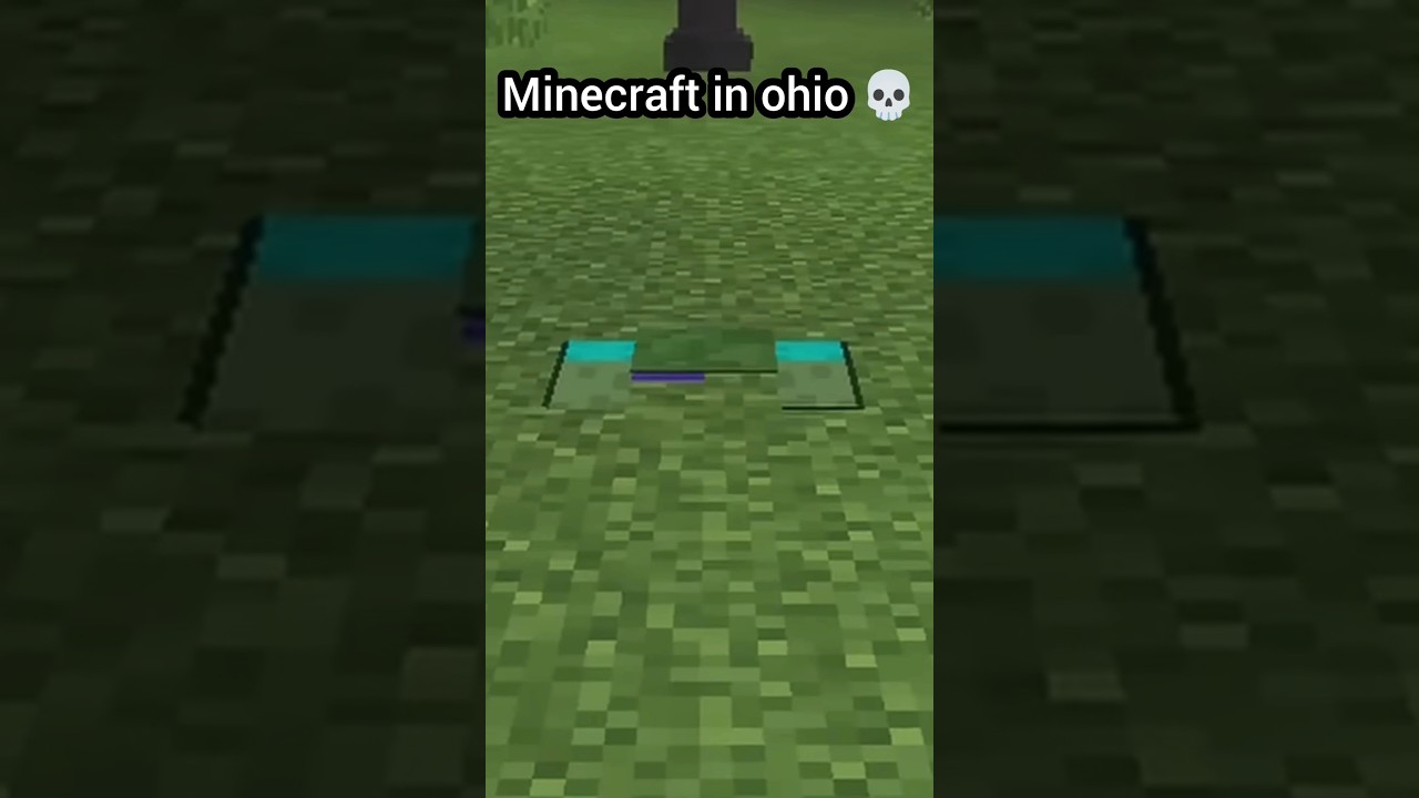 minecraft ohio is OP 💀😱 #ohio - YouTube