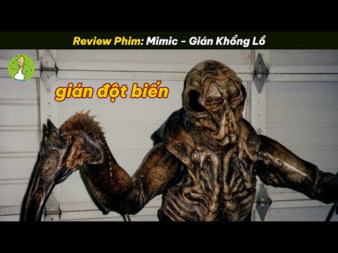 Video Khi Gián Tiến Hóa Và Biết Cải Trang Thành Con Người... - youtube