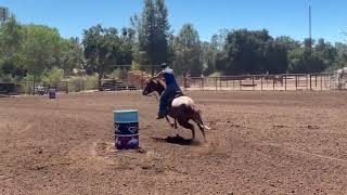SR Call Me Shrimp, futurity showcase 8/2026
