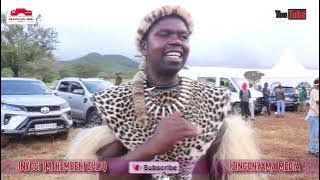 Inyosi uMtwana Mthembeni Zulu