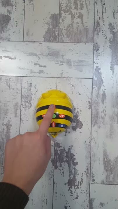 Programming a Bee-Bot