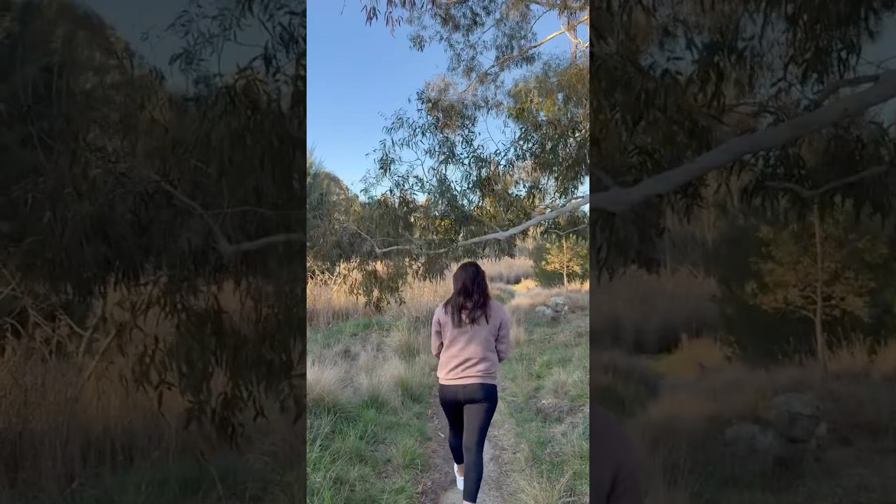 Walking in Nature 🍃 Best Exercise for Long-Lasting Health 🌳🩵