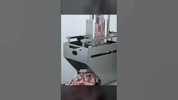 Double roll frozen meat slicer for restaurants