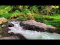 Fall asleep quickly with the soothing sound of flowing water, Relaxing river sounds for sleep