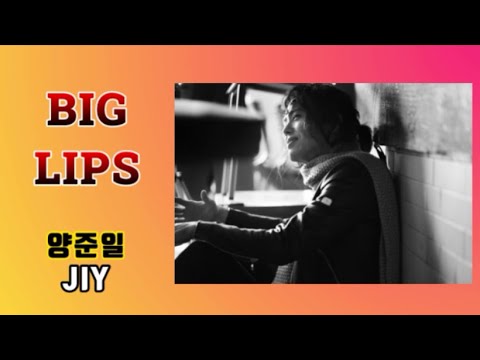 ENG SUB 양준일JIY Big Lips 가사 해석 Lyrics Video
