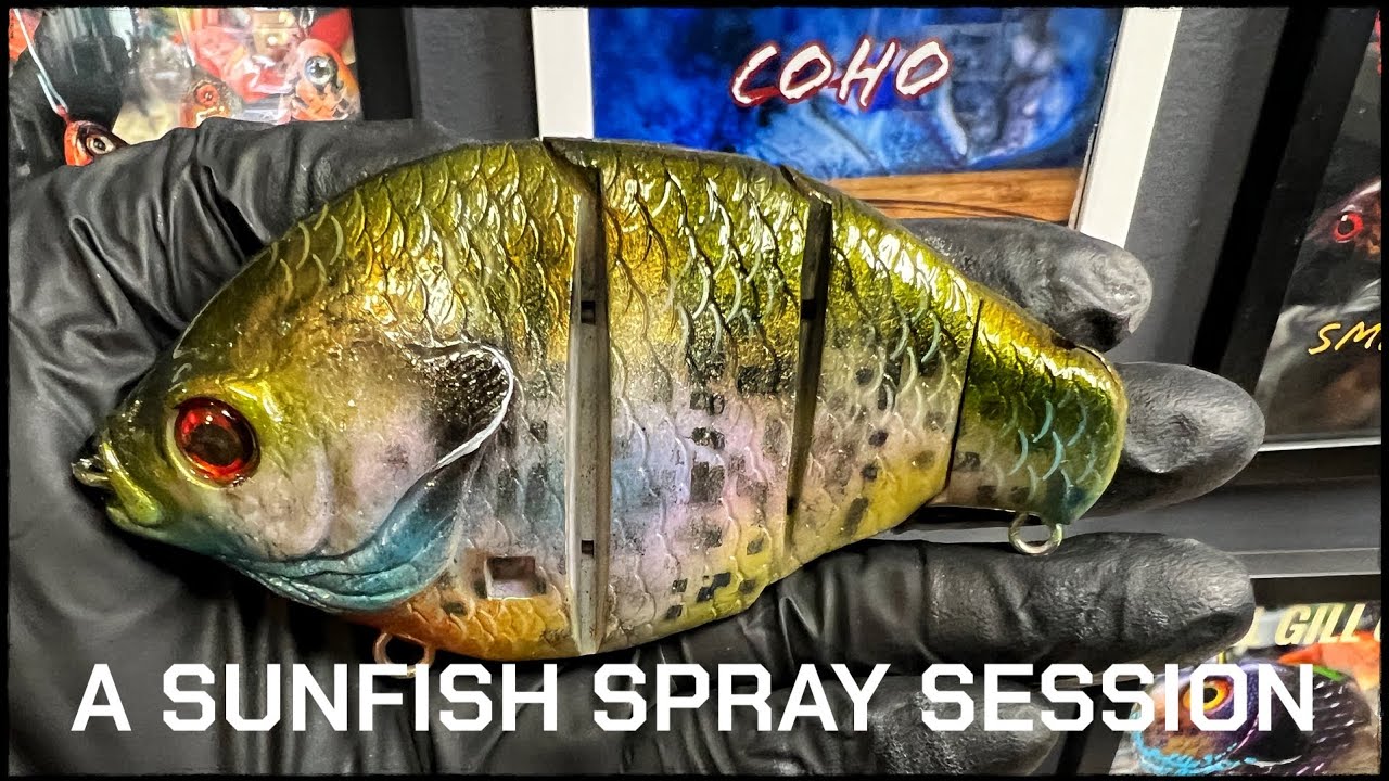 A Sunfish Swimbait Spray (Last One??) *NEW SESSION*