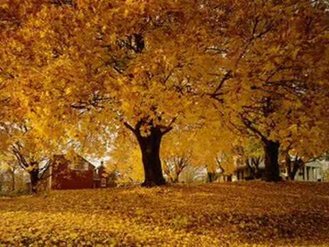 Doris Day - Autumn Leaves - 1956