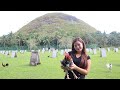 Bumili ako nang Purebreed Jolojano / Basilan Free Range Native Chicken sa Chocolate Hills Bohol