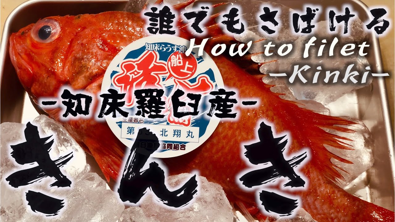 誰でも出来る 北海道羅臼産きんきのさばき方 How To Filet Kinki プロの職人が伝授 Youtube 誰でも出来る 北海道羅臼産きんきのさばき方 How To Filet Kinki プロの職人が伝授 Youtube