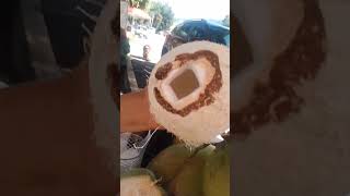 Prueba Coco Blanco Jimado 1