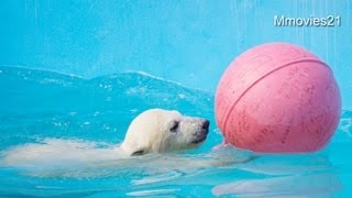 双子のプール遊び〜浮き玉くわえと指くわえ