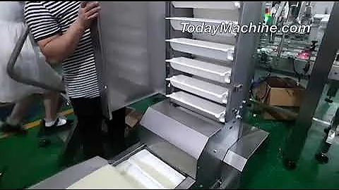 Dahan Stainless Steel Customized 304 Belt Chain Vertical Z Type Bucket Elevator Price For Grain Pean