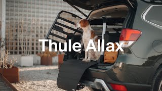 Designed to protect both dogs and people / Thule Allax