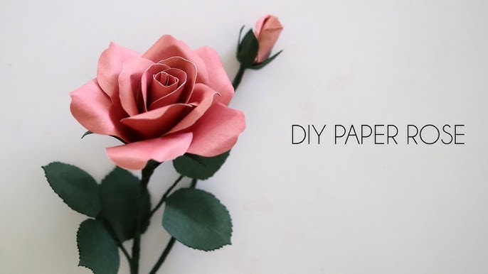Simple Paper Rose Tutorial for Valentine's Gift- Lia Griffith