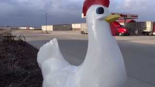 BIGGEST CHICKEN IN THE WORLD!!