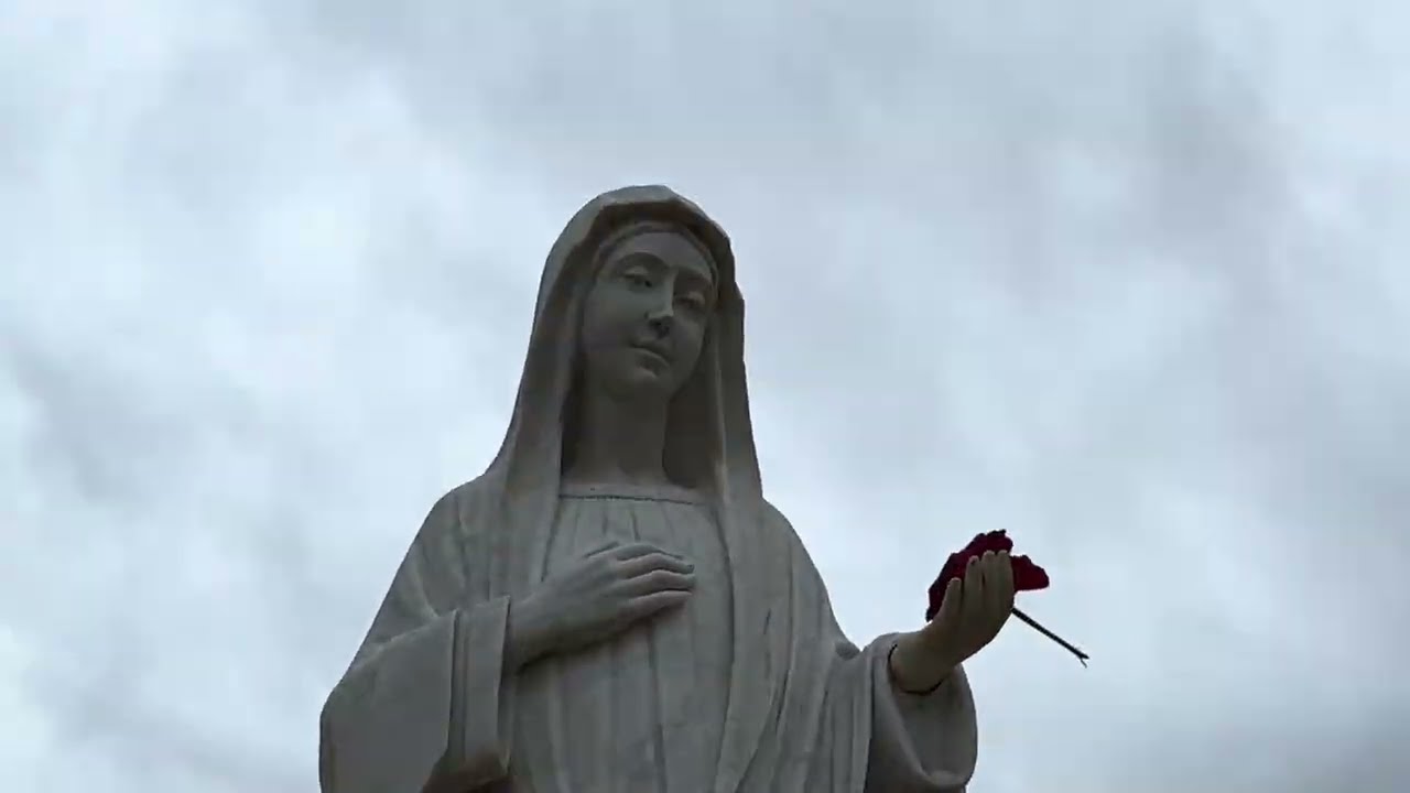 /8/ Перший рік обʼявлень 1981