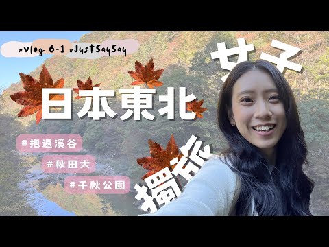 Vlog 6-1｜女子日本東北獨旅｜秋田追楓去、抱返溪谷與千秋公園、超可愛秋田犬