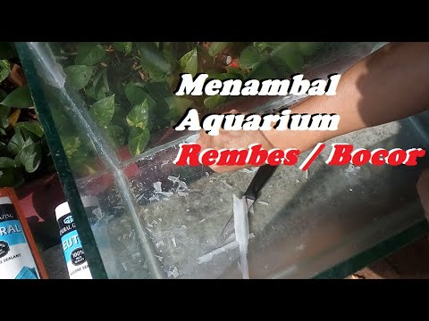 HELLO FRIENDS FISH. GREETINGS OF Clear Water. THIS TIME I WANT TO TELL HOW TO ADD AQUARIUM GLASS WIT. 