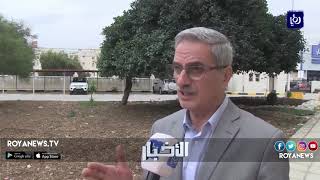 مشروع أنبوب الغاز يدمر أشجارًا حرجية بإربد أكبر من عمر الاحتلال - (7-11-2018)