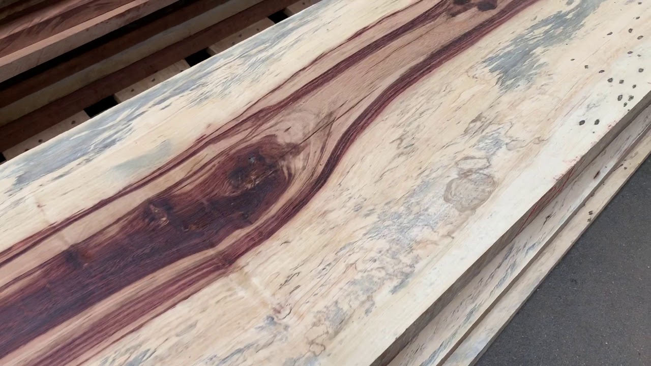 camera iphone 8 plus apk Large Spalted Tamarind!