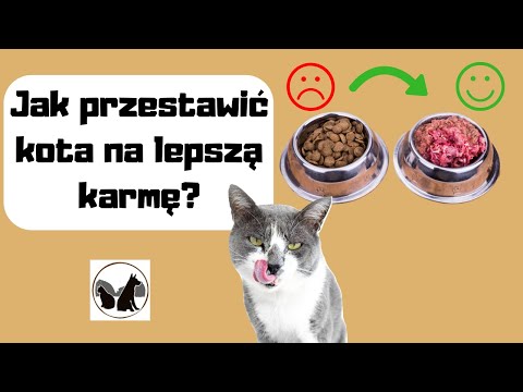 Wideo: Ograniczona Karma Dla Kotów: Czy Jest Lepsza?